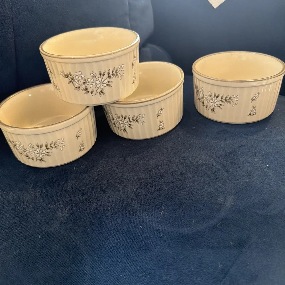 Set of 4‎ Newcor Stoneware Ramekin Bowls Made In Japan